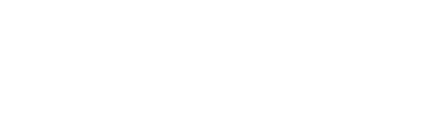 Birdie